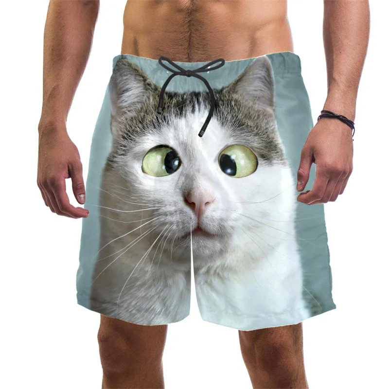 3d Print Funny Cat Beach Short - Summer Vacation Clothing Men 评论和价格