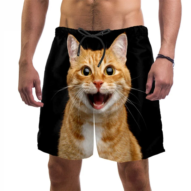 3d Print Funny Cat Beach Short - Summer Vacation Clothing Men 评论和价格