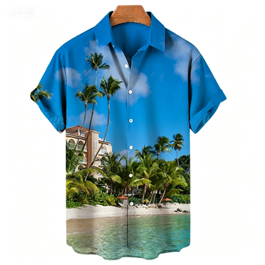 Men's Hawaiian Shirts Summer B - Summer Vacation Clothing Men 评论和价格